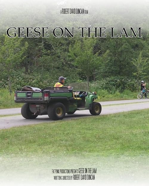 Geese on the Lam