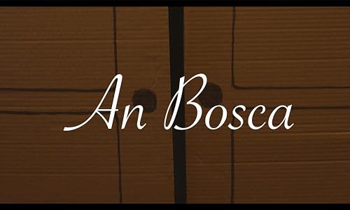 An Bosca