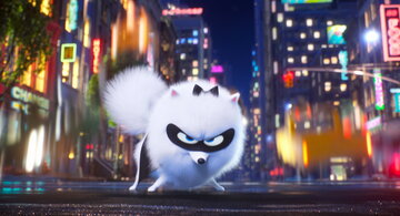 Image from the film