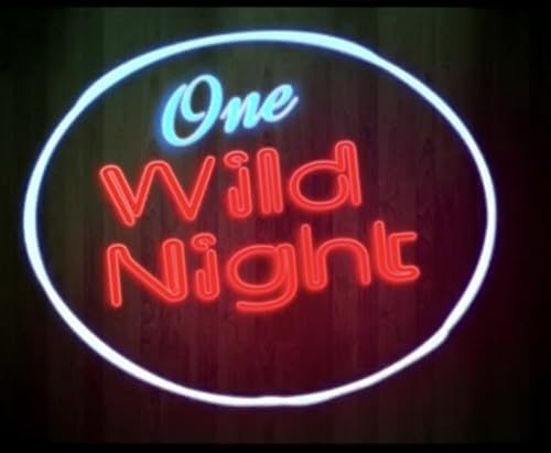One Wild Night