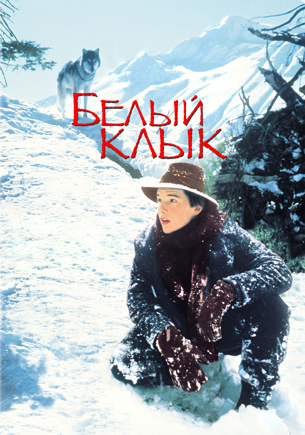 Белый клык