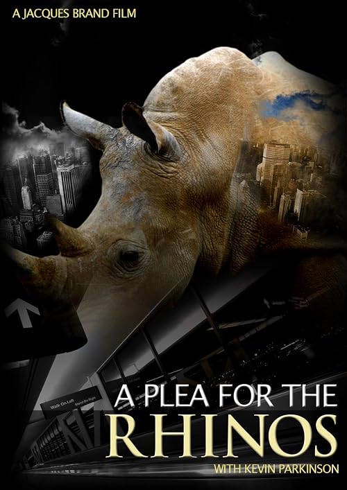 A Plea for the Rhinos