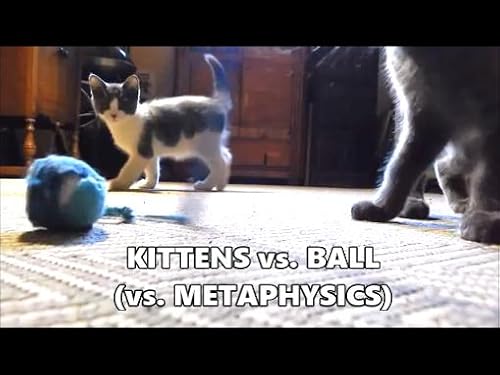 Kittens Versus Ball (Versus Metaphysics)