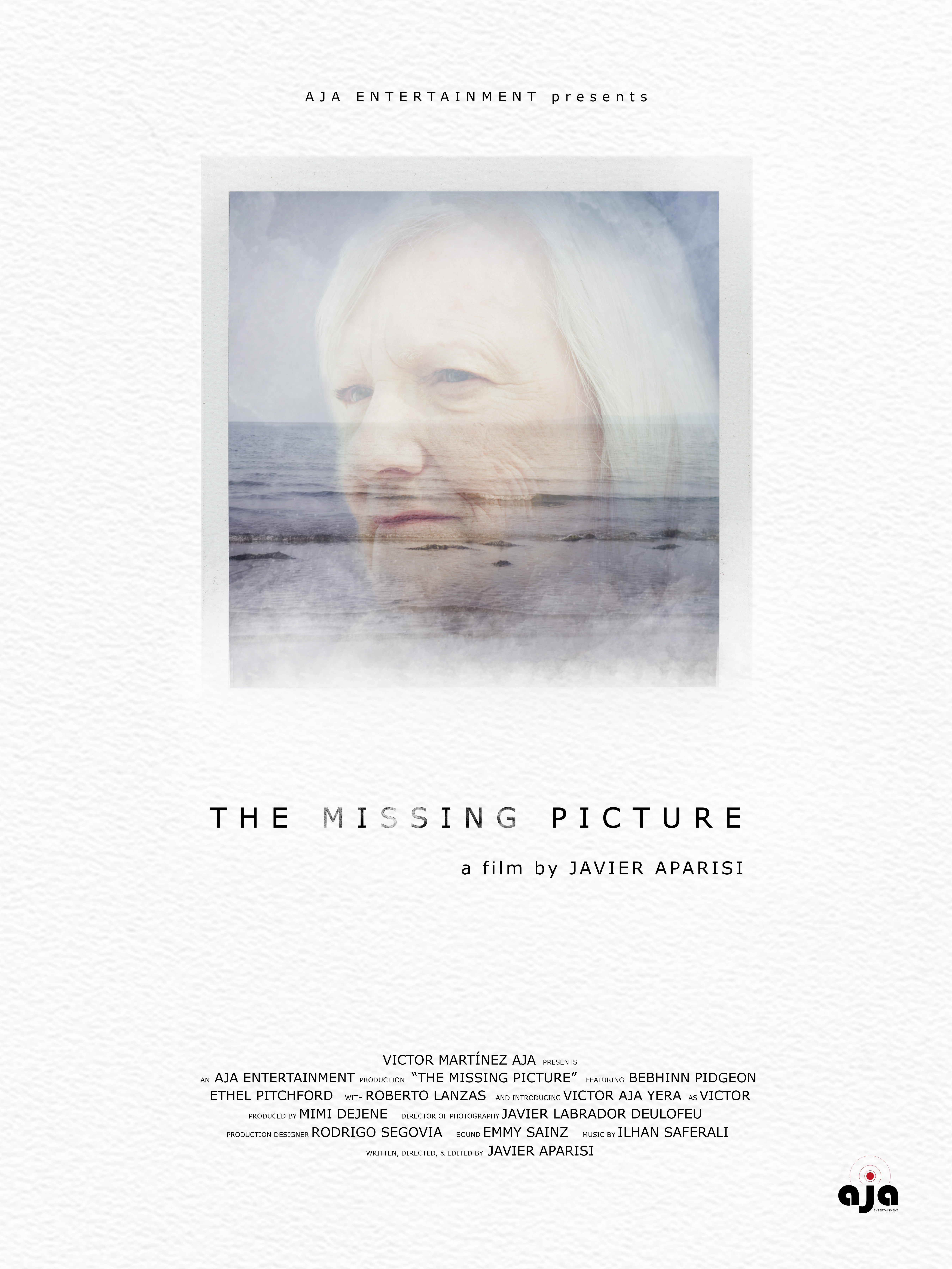 The Missing Picture