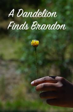 A Dandelion Finds Brandon