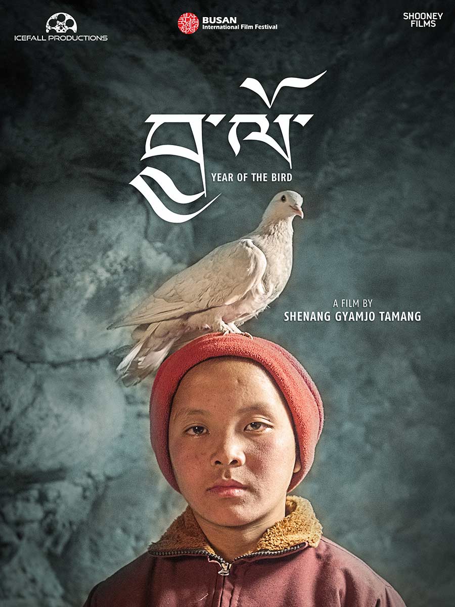 Year of the Bird