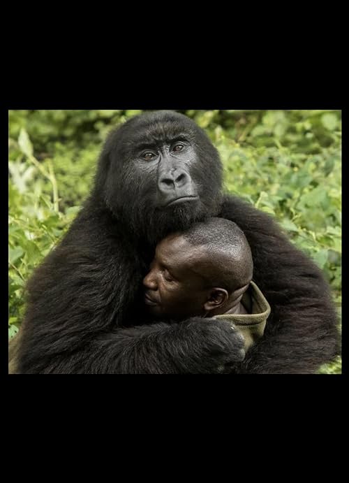 Untitled Africa Project