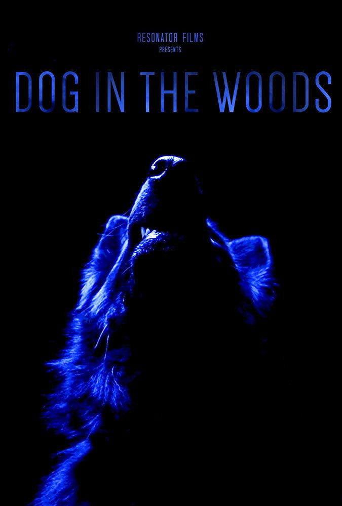 Dog in the Woods