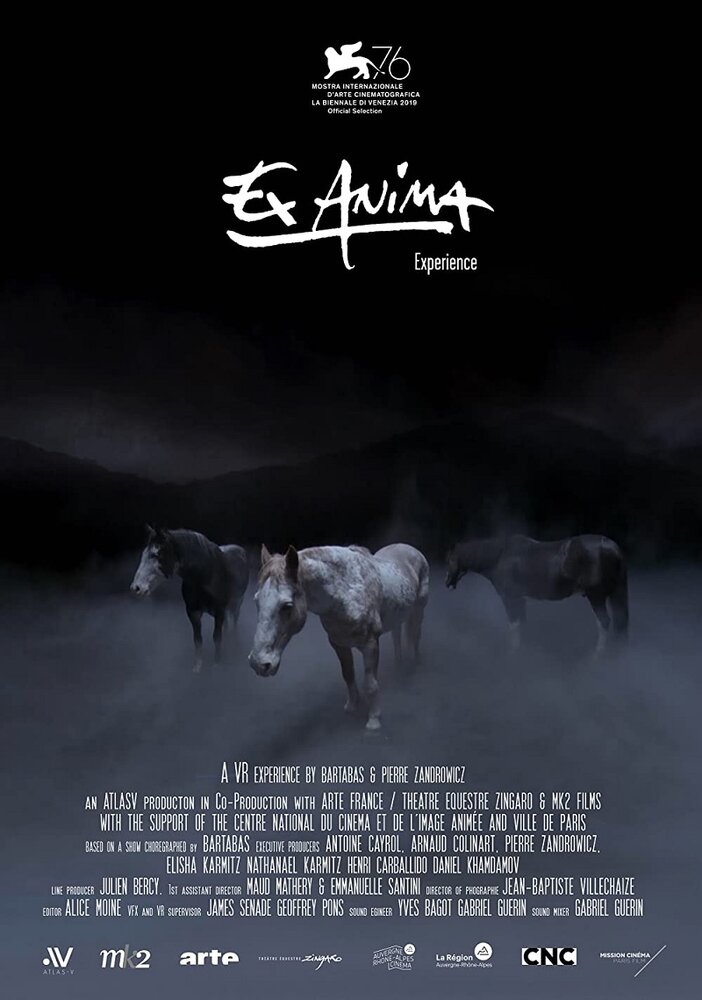 Ex Anima Experience