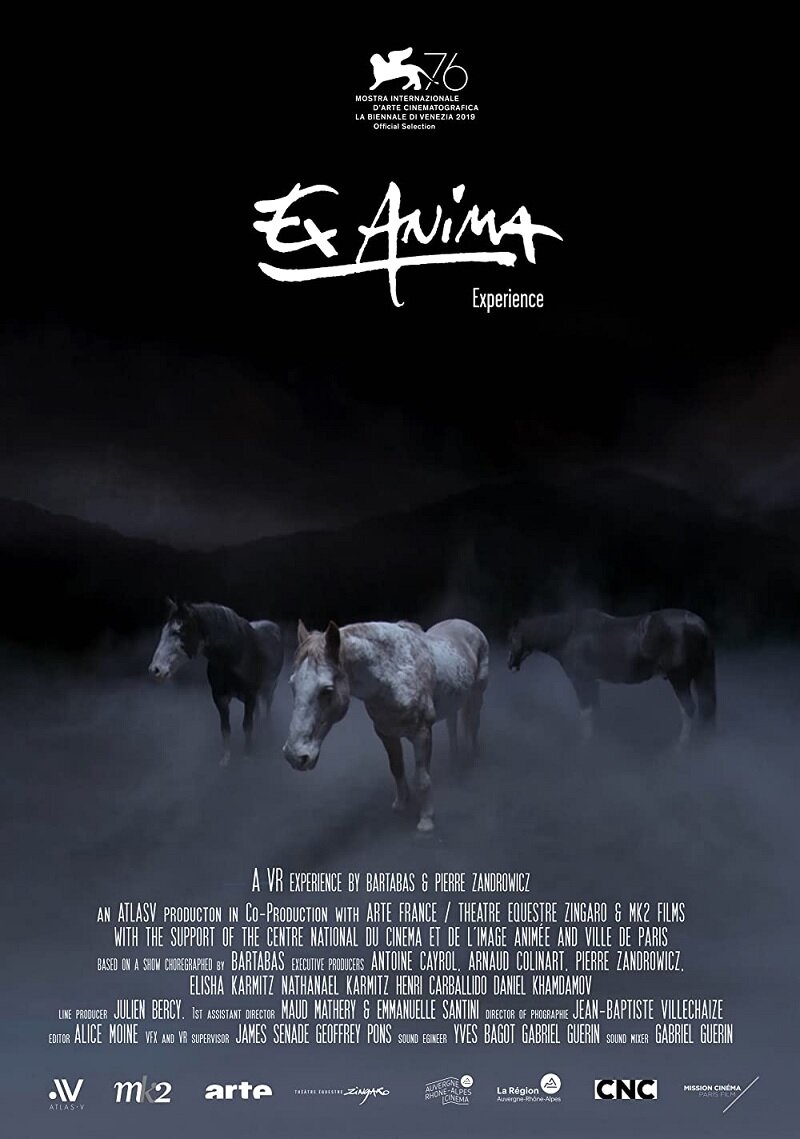 Ex Anima Experience