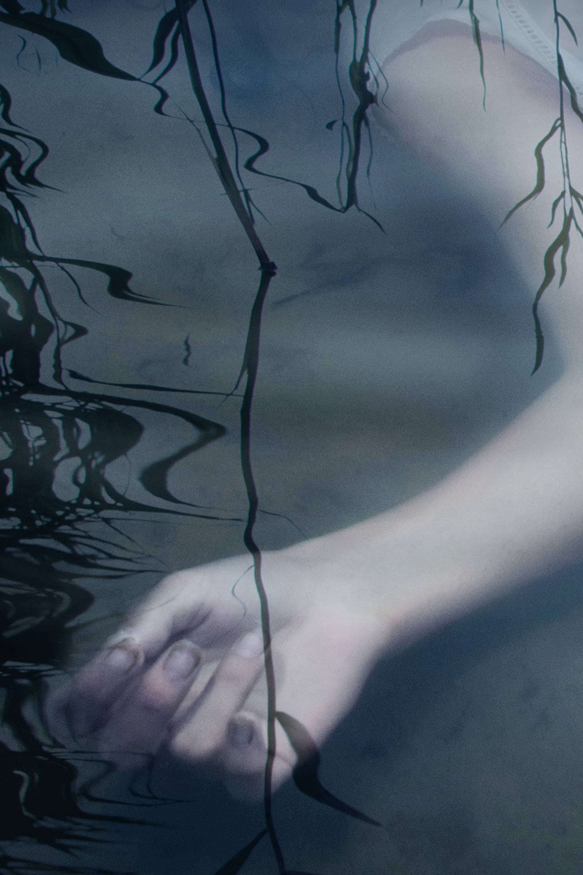 Murder in the Bayou