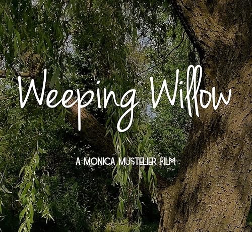 Weeping Willow