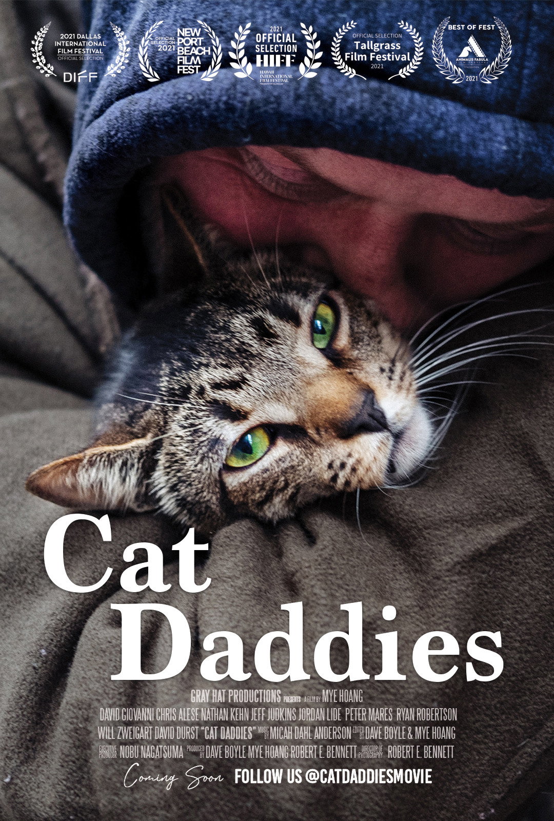 Cat Daddies - Freunde für sieben Leben