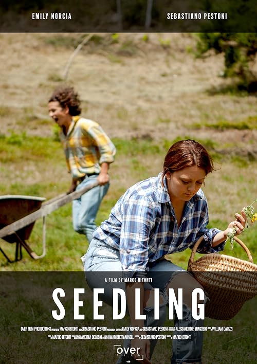 Seedling