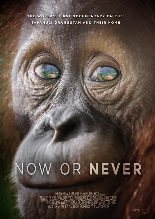 Now Or Never