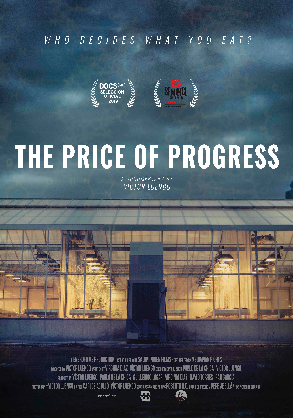 The Price of Progress