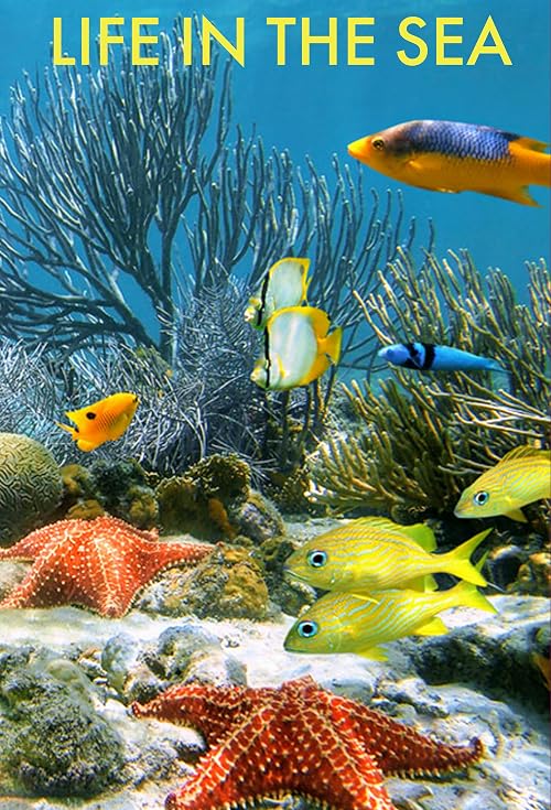 Life in the Sea