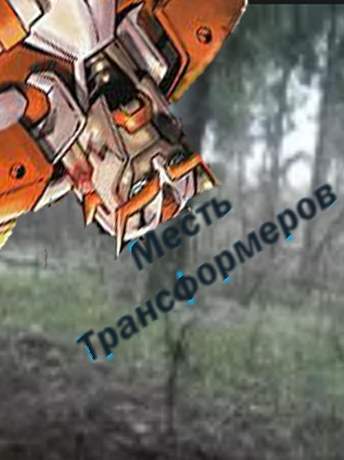 Mest transformerov