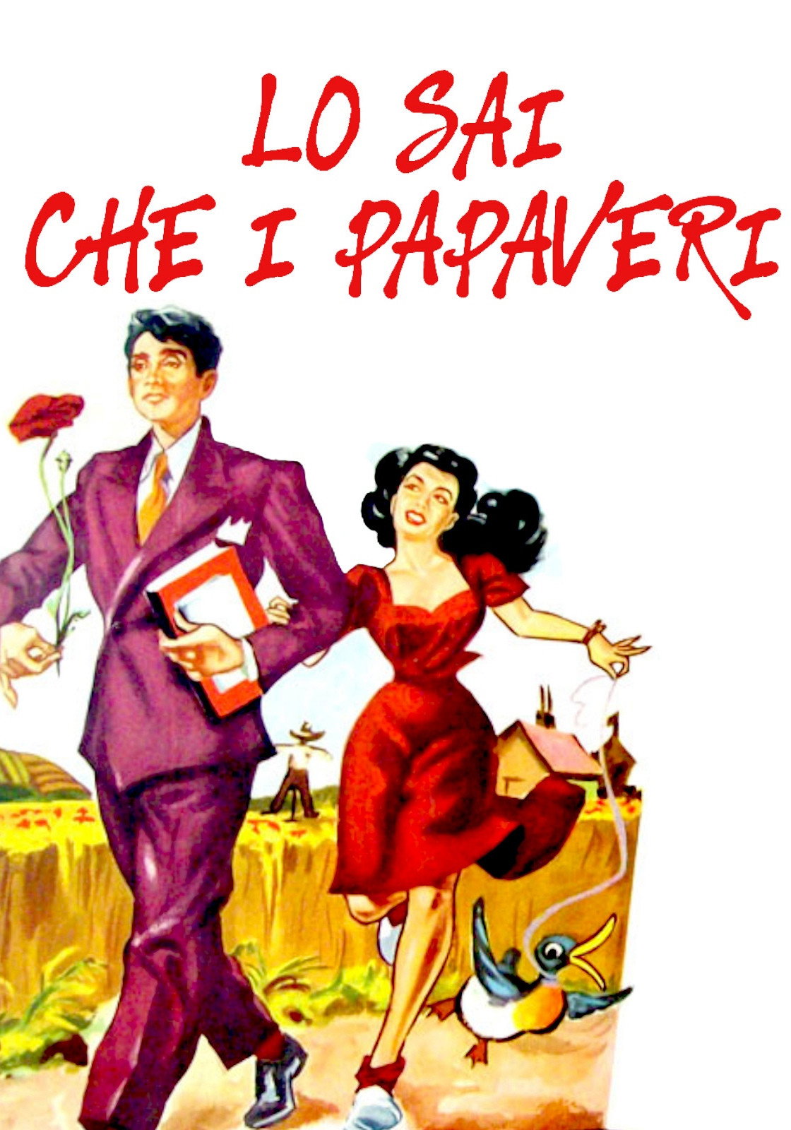 Lo sai che i papaveri