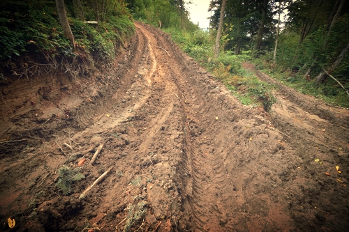 The Muddy Hill
