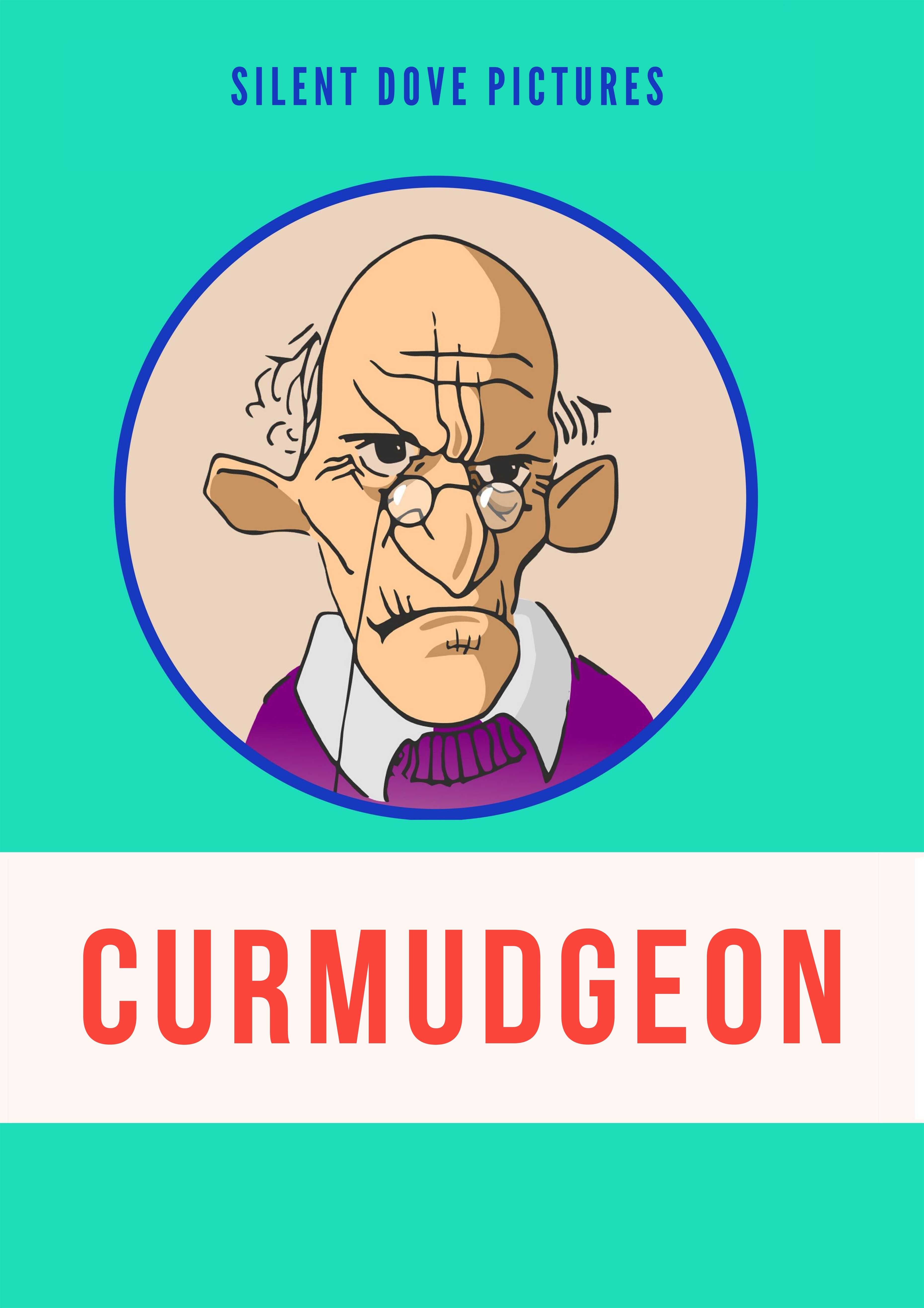 The Curmudgeon