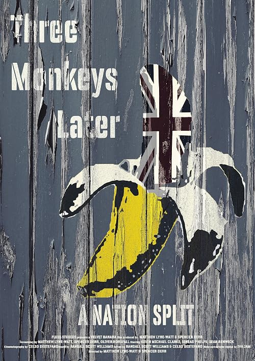 Three Monkeys Later