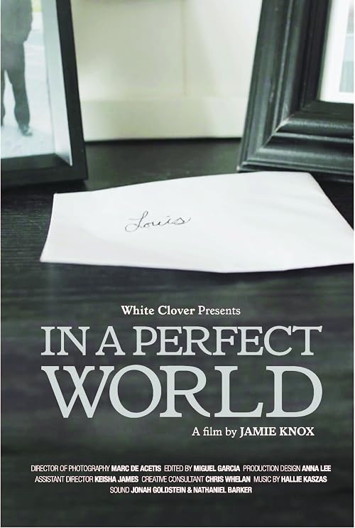 In a Perfect World