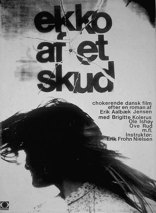 Ekko af et skud