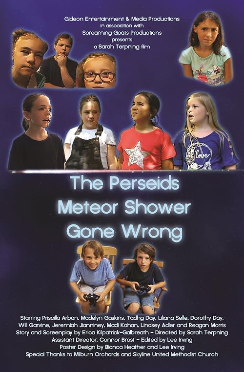 The Perseids Meteor Shower Gone Wrong