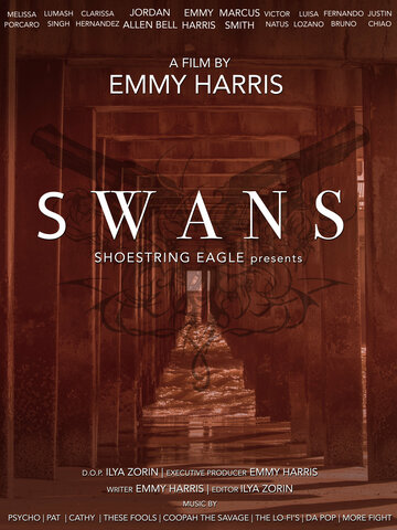Swans