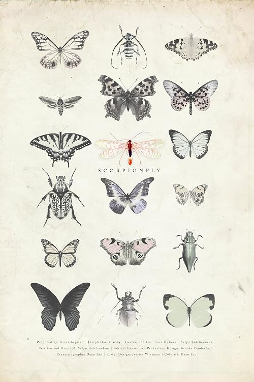 Scorpion Fly