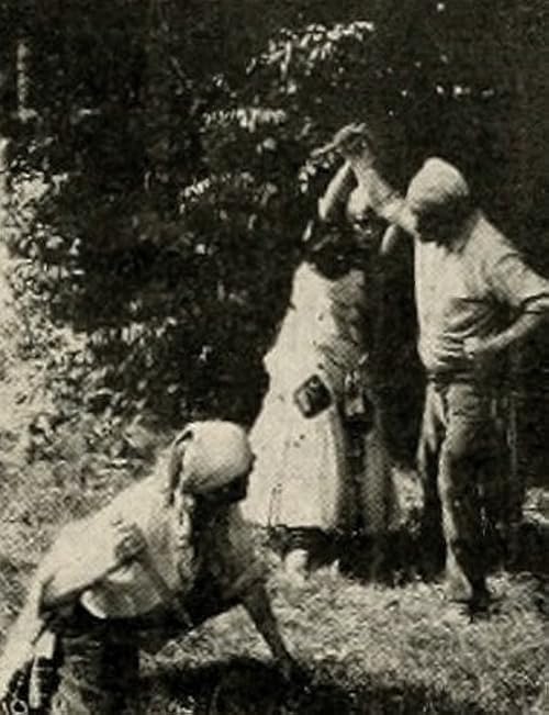 The Love Lute of Romany