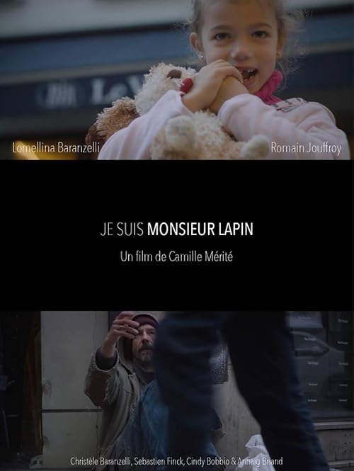 Je suis Monsieur Lapin