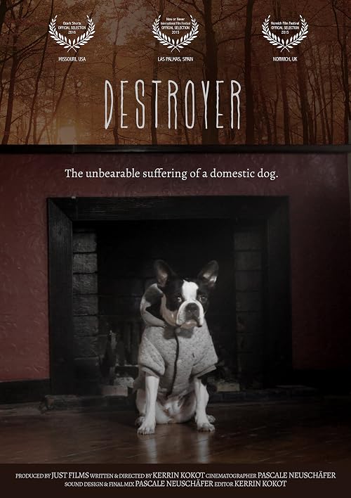 Destroyer