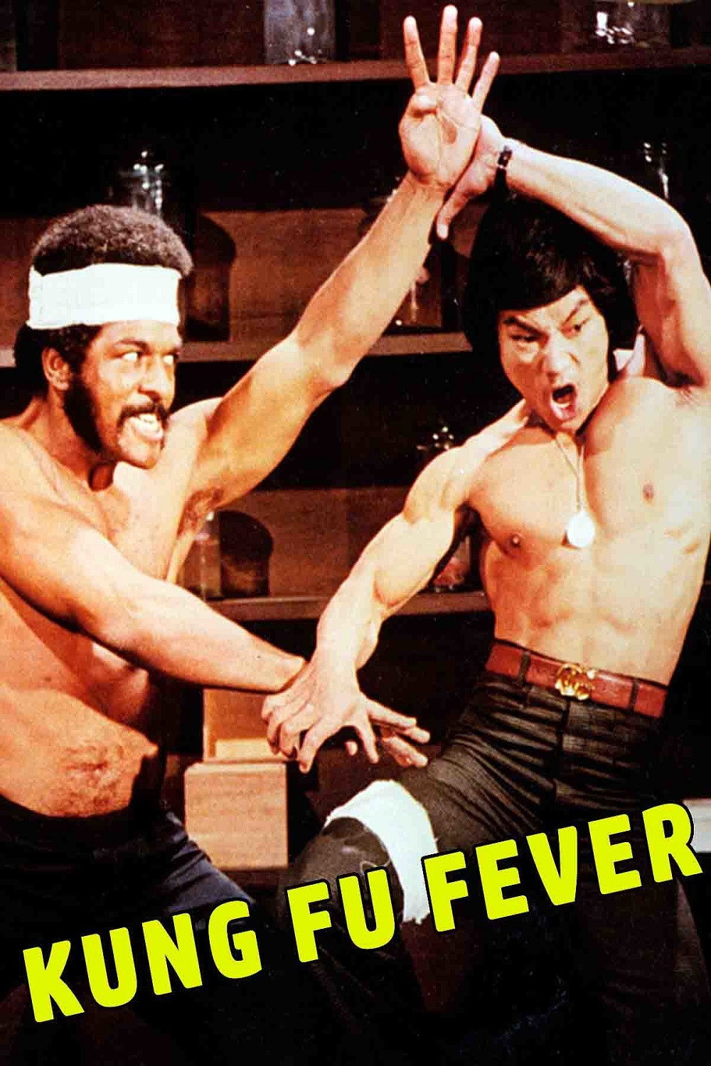 Kung Fu Fever
