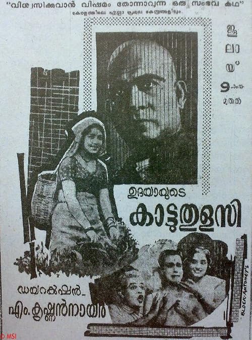 Kattu Thulasi