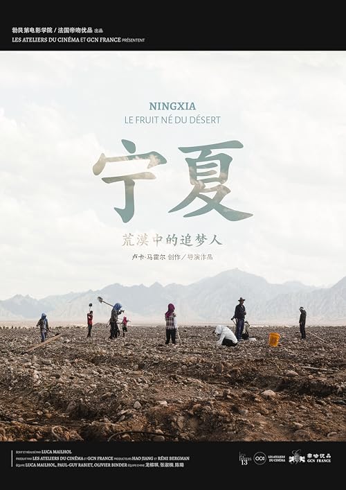Ningxia: Le Fruit Né du Désert