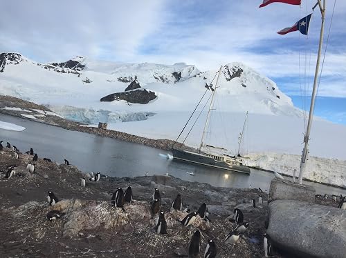 Antarctica by Sail with Brad Olsen 2020