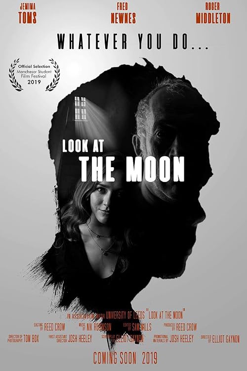 Look at the Moon