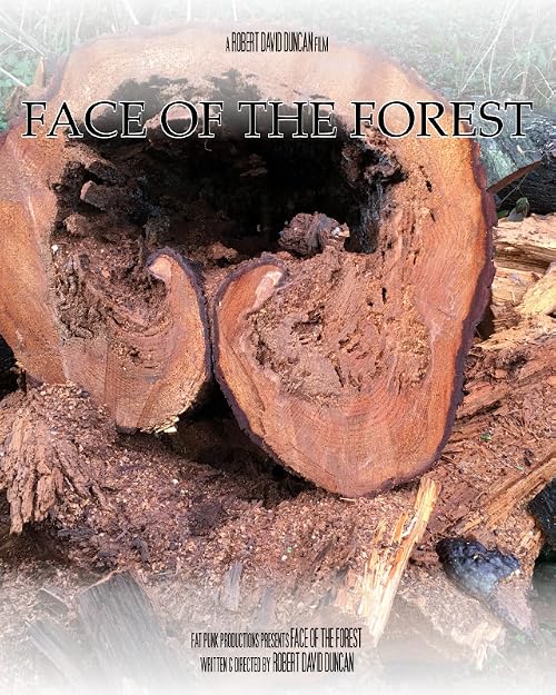 Face of the Forest
