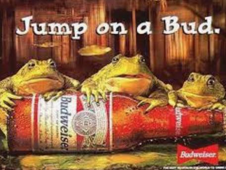 Budweiser: Frogs