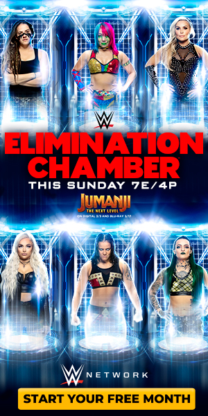 WWE Камера ликвидации