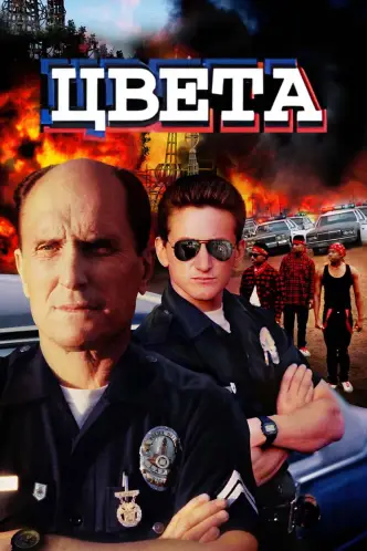 Цвета