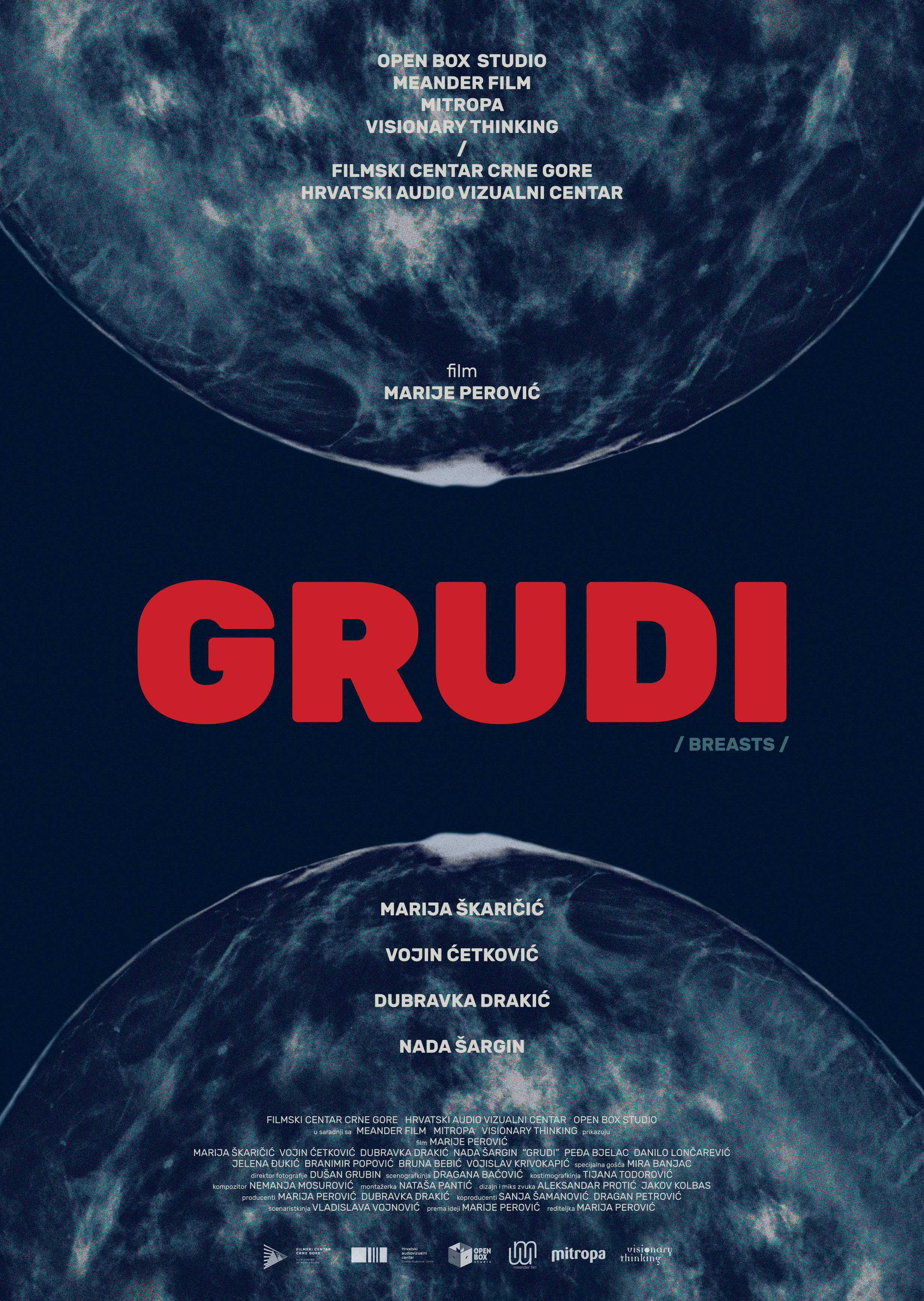 Grudi