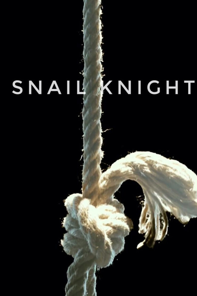 Snail Knight