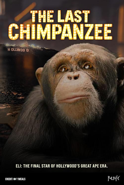 The Last Chimpanzee