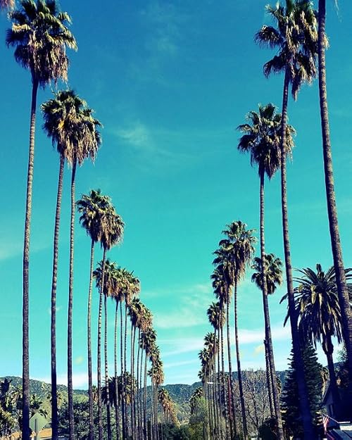 What's Happening in LA