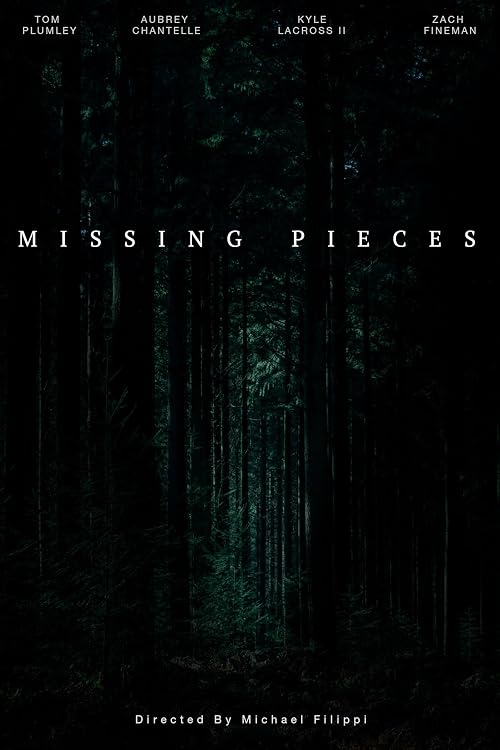 Missing Pieces