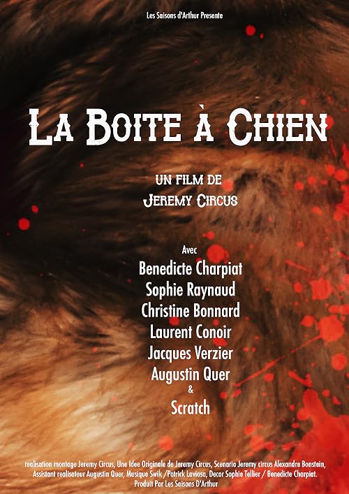 La boite à chien