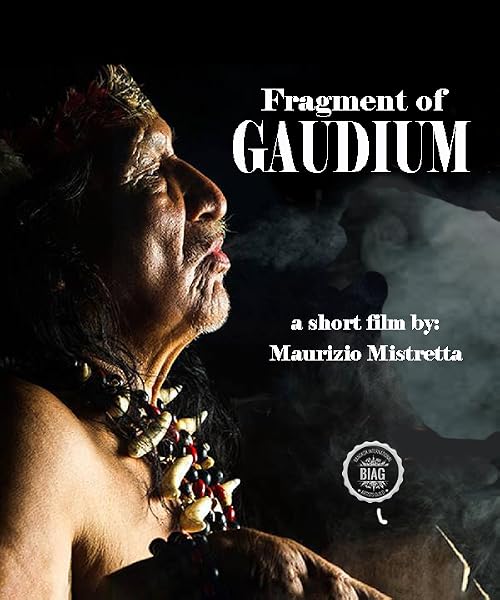 Fragments of Gaudium